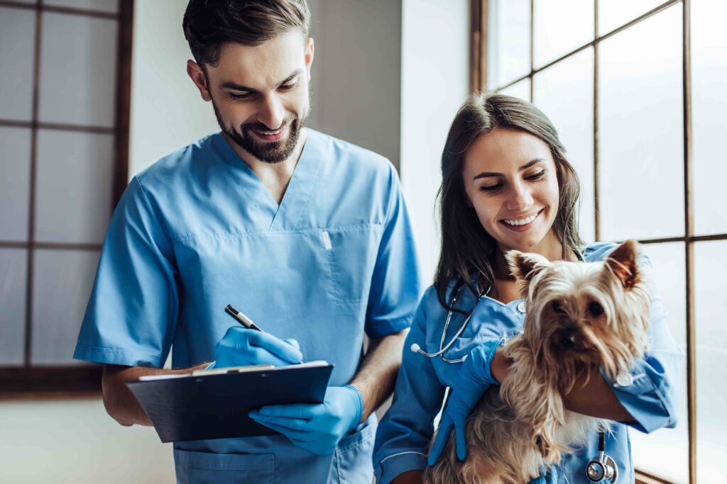 graduacao-medicina-veterinaria